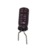 CAPACITOR ELETROLITICO 0,47uF X 50V RADIAL 85C 5*11mm NICHICON ALUMINUM ELECTROLYTIC CAPACITORS - RADIAL PTH THT 